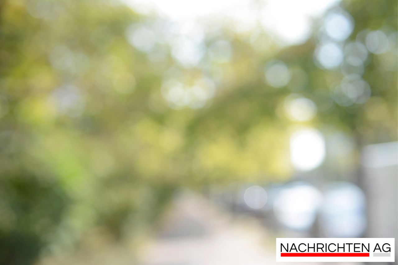 Denkmaltag in Gau-Weinheim: Schiefer Turm zieht Tausende Besucher an!
