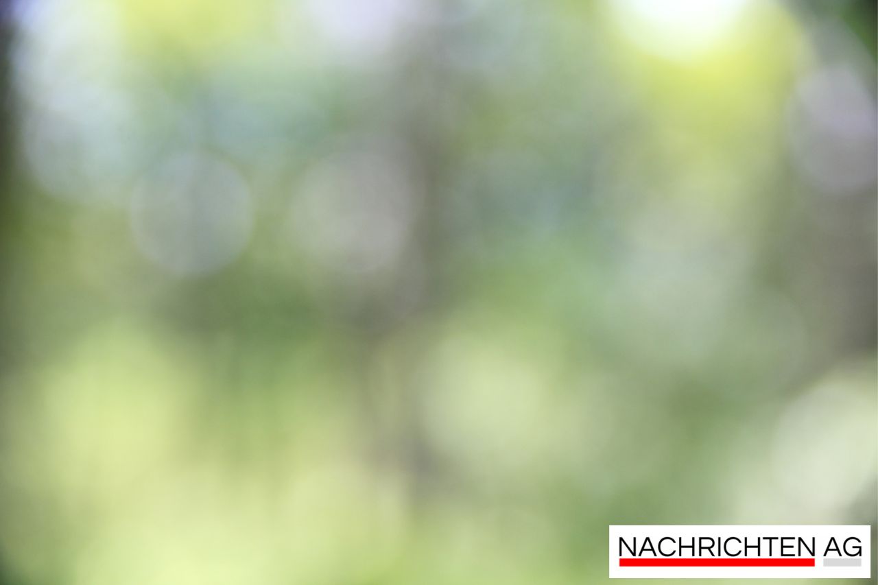 Jetzt anmelden: Fachkraft für Nachhaltigkeitsmanagement startet bald!